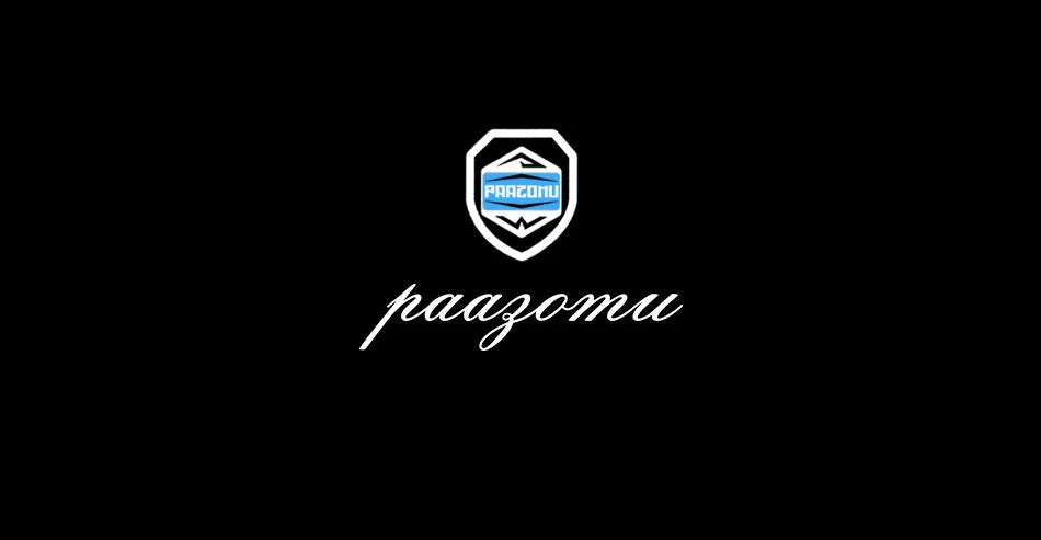 PAAZOMU Brand Luxury Men's Watch StainlessSteel Waterproof Date Quartz WristWatch Business Fashion Clock Best Gift For Men Reloj